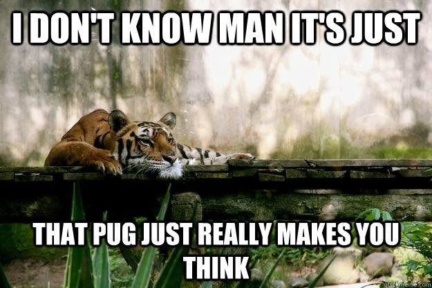 i dont know man its just that pug just really makes you th -