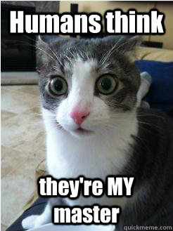 humans think theyre my master - Sudden Clarity Cat