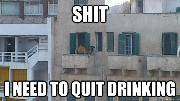 shit i need to quit drinking -