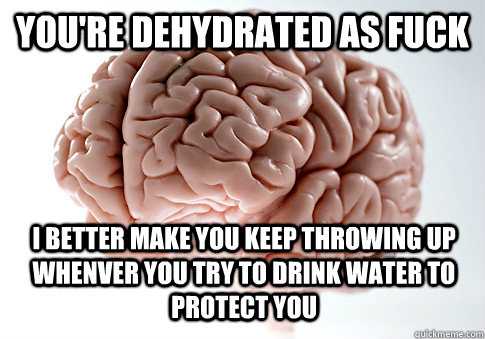 youre dehydrated as fuck i better make you keep throwing up - Scumbag Brain