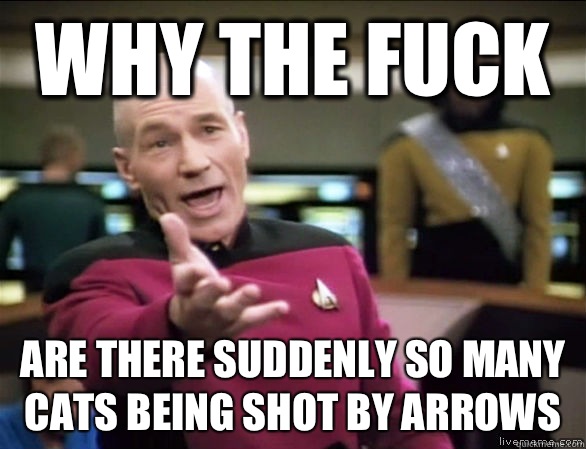 why the fuck Are there suddenly so many cats being shot by a - Annoyed Picard HD