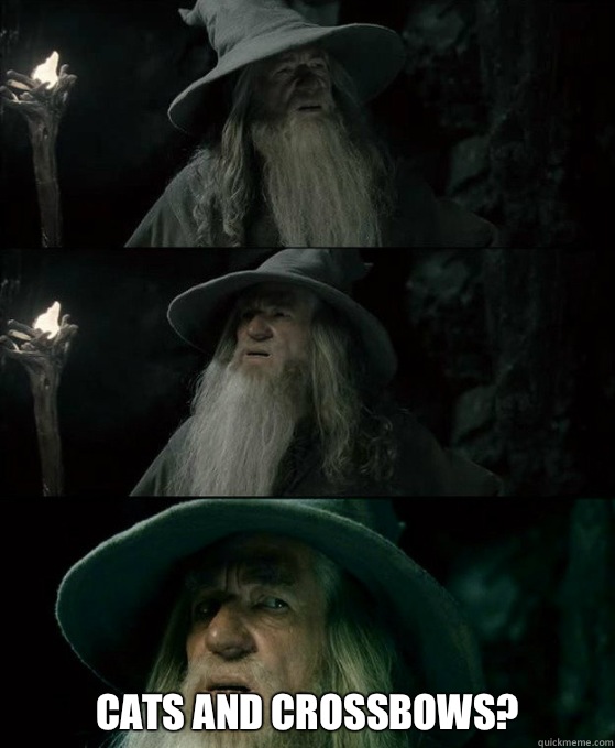 Cats and crossbows - Confused Gandalf