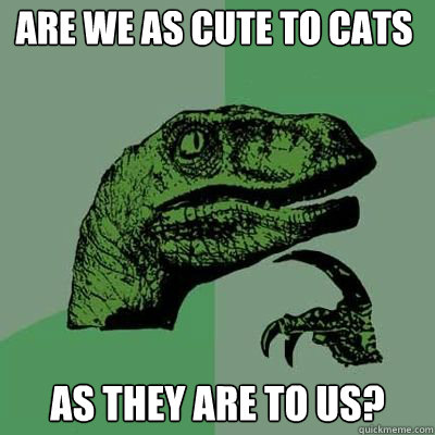 are we as cute to cats as they are to us - Philosorapter