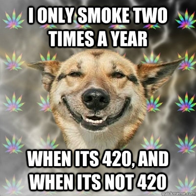 i only smoke two times a year when its 420 and when its not - Stoner Dog