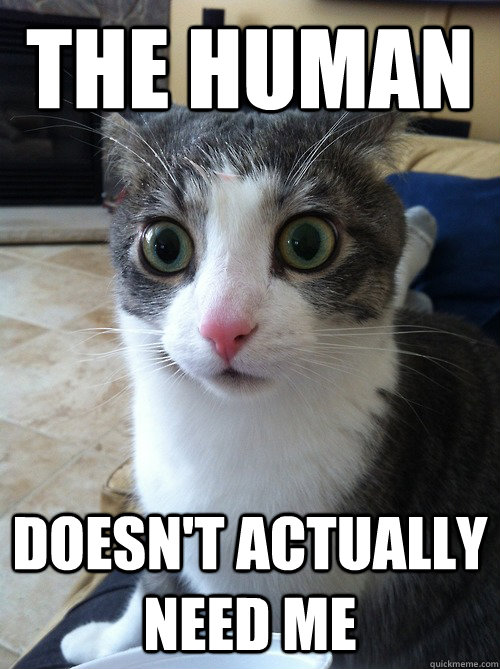 the human doesnt actually need me - Sudden Clarity Cat
