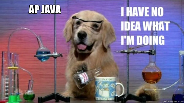 ap java  - science dog