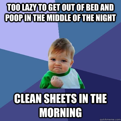 too lazy to get out of bed and poop in the middle of the nig - Success Kid