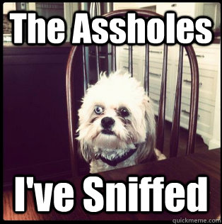 the assholes ive sniffed - Life Hardened Dog