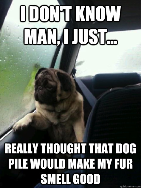 i dont know man i just really thought that dog pile wou - Introspective Pug