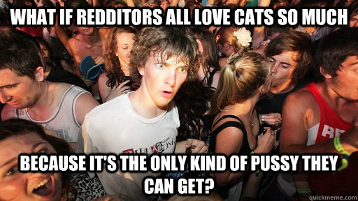 what if redditors all love cats so much because its the onl - Sudden Clarity Clarence