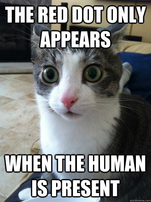 the red dot only appears when the human is present - Sudden Clarity Cat