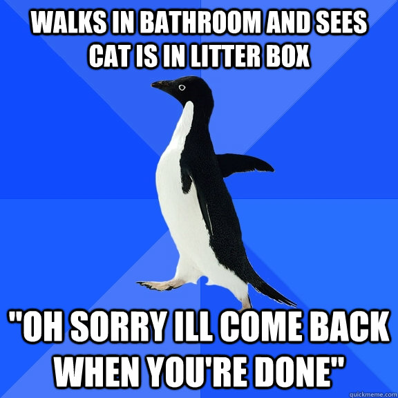 walks in bathroom and sees cat is in litter box oh sorry il - Socially Awkward Penguin