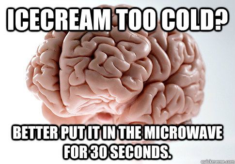 icecream too cold better put it in the microwave for 30 sec - Scumbag Brain