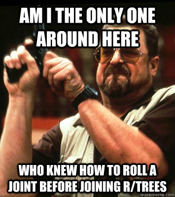 am i the only one around here who knew how to roll a joint - Angry walter