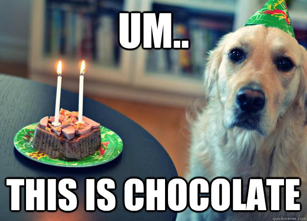 um this is chocolate - Sad Birthday Dog