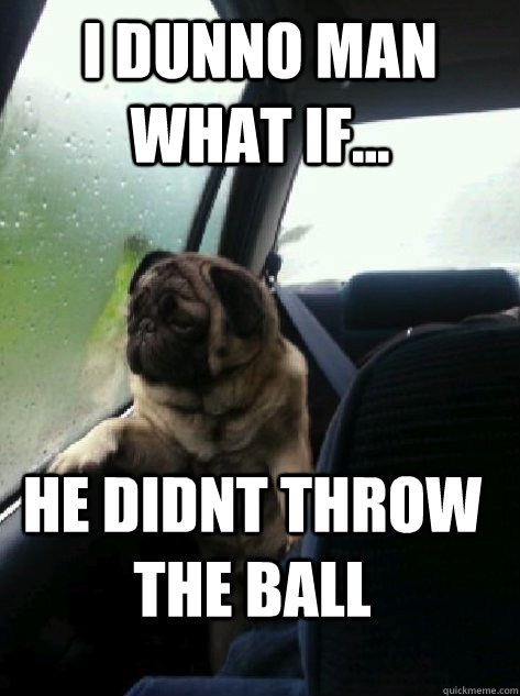 i dunno man what if he didnt throw the ball - Introspective Pug