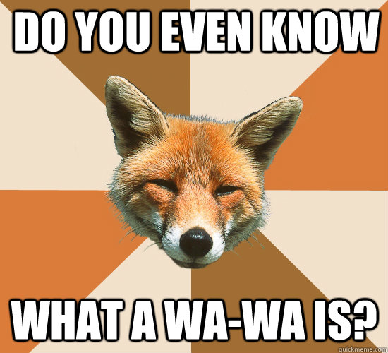 do you even know what a wawa is - Condescending Fox