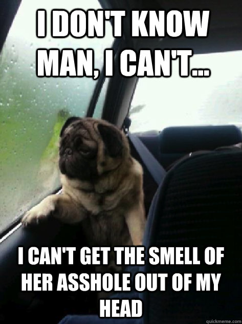 i dont know man i cant i cant get the smell of her as - Introspective Pug