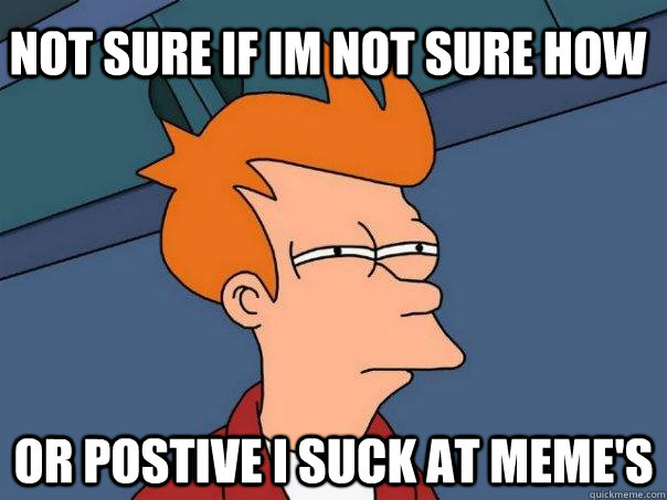 not sure if im not sure how or postive i suck at memes - Futurama Fry