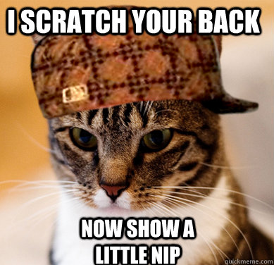 i scratch your back now show a little nip - Scumbag Cat
