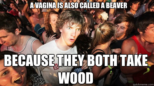 a vagina is also called a beaver because they both take wood - Sudden Clarity Clarence