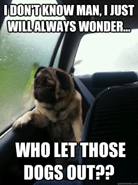i dont know man i just will always wonder who let thos - Introspective Pug