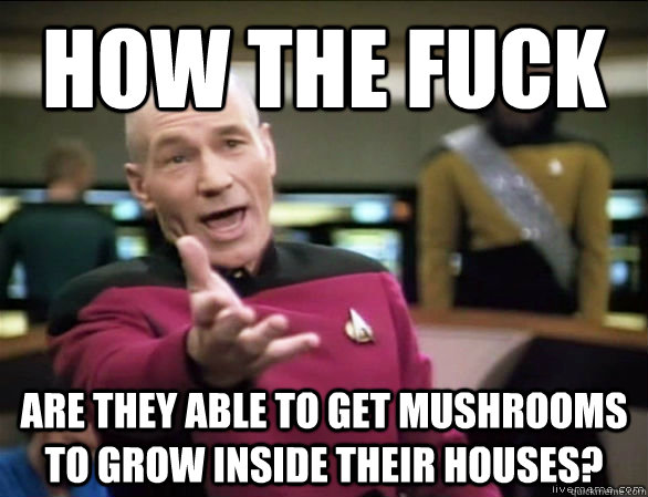 how the fuck are they able to get mushrooms to grow inside t - Annoyed Picard HD