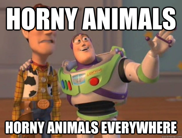 horny animals horny animals everywhere - Buzz Lightyear