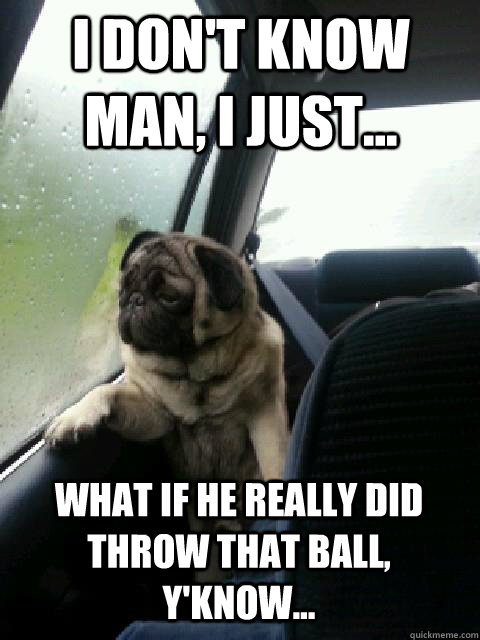 i dont know man i just what if he really did throw that - introspective pug on cesar millan