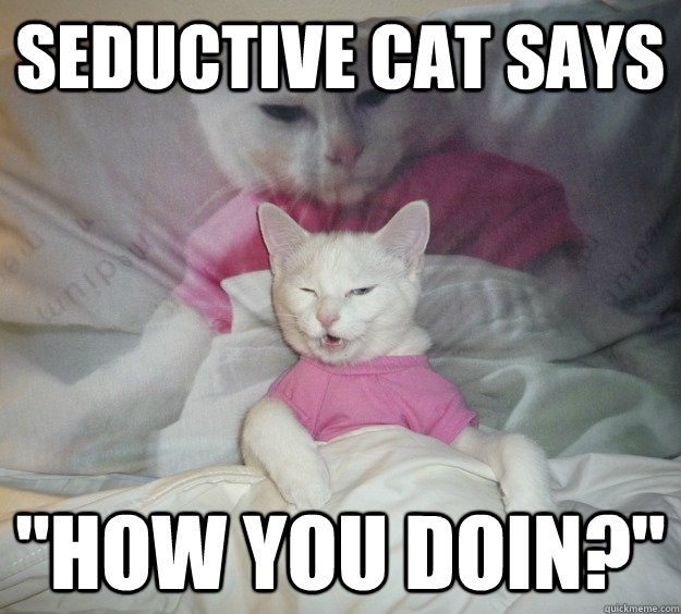 seductive cat says how you doin -