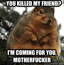 you killed my friend im coming for you motherfucker - DGAF Fat Squirrel