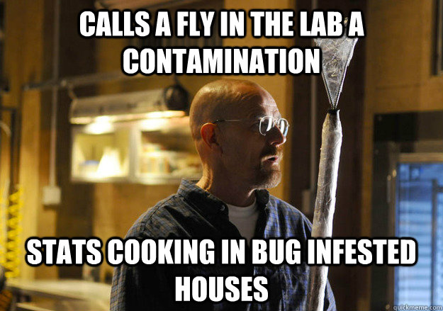 calls a fly in the lab a contamination stats cooking in bug - walter vs fly