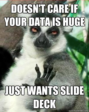 doesnt care if your data is huge just wants slide deck - Business Decisionmaker