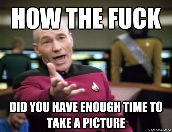 how the fuck did you have enough time to take a picture - Annoyed Picard HD