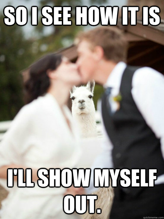 so i see how it is ill show myself out -