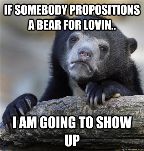 if somebody propositions a bear for lovin i am going to sh - Confession Bear