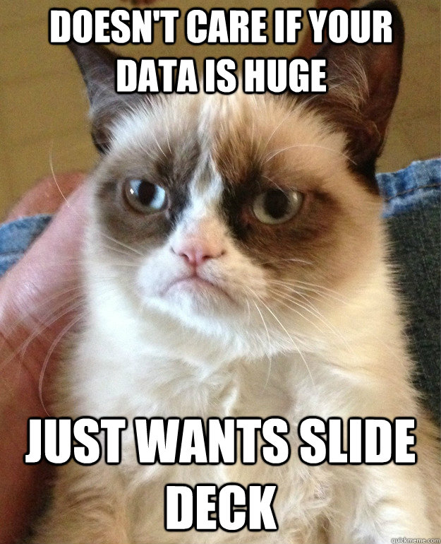 doesnt care if your data is huge just wants slide deck - Grumpy Cat