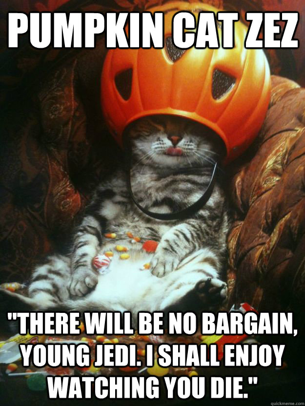 pumpkin cat zez there will be no bargain young jedi i sha - Pumpkin Cat