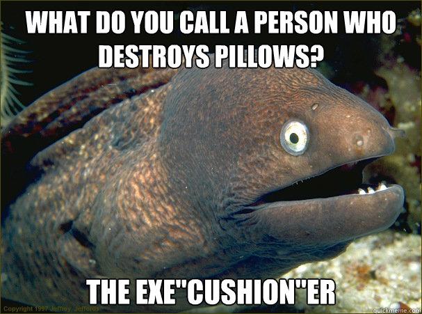 what do you call a person who destroys pillows the execush - Bad Joke Eel