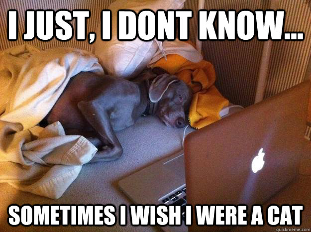 i just i dont know sometimes i wish i were a cat - Redditors Dog