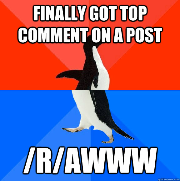 finally got top comment on a post rawww - Socially Awesome Awkward Penguin