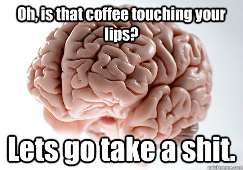 oh is that coffee touching your lips lets go take a shit - Scumbag Brain