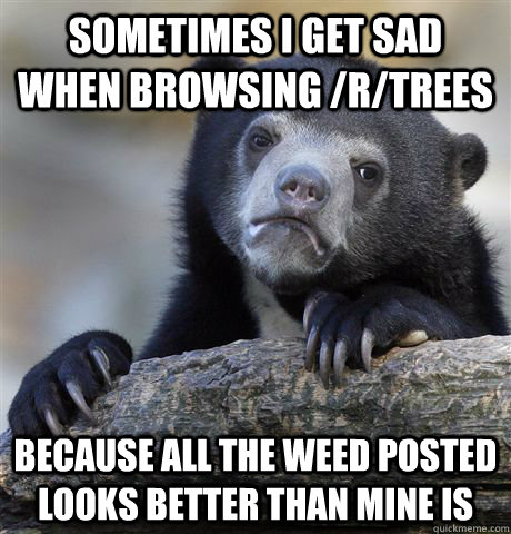 sometimes i get sad when browsing rtrees because all the w - Confession Bear