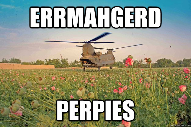 errmahgerd perpies - Heli