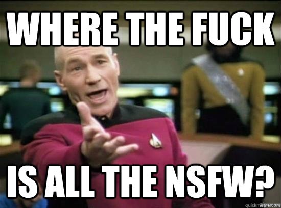 where the fuck is all the nsfw - why the fuck picard