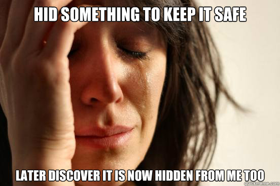 hid something to keep it safe later discover it is now hidde - First World Problems