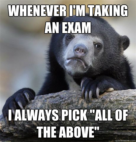 whenever im taking an exam i always pick all of the above - Confession Bear