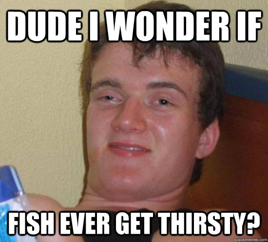 dude i wonder if fish ever get thirsty - High guy