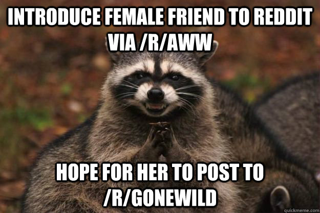introduce female friend to reddit via raww hope for her to - Evil Plotting Raccoon