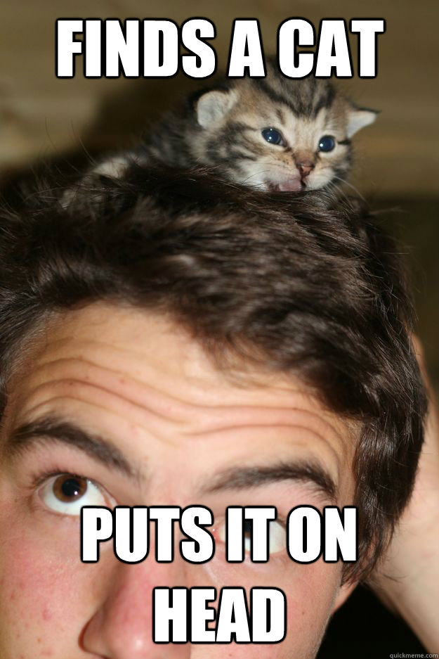 finds a cat puts it on head -